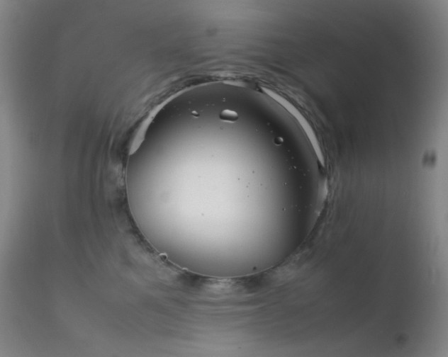 X0000111900521200907271201