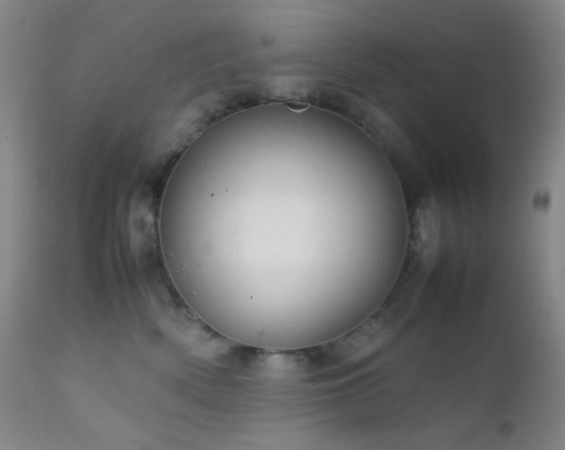 X0000111900522200907271201