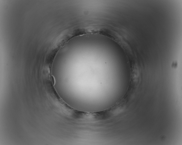 X0000111900523200907271201