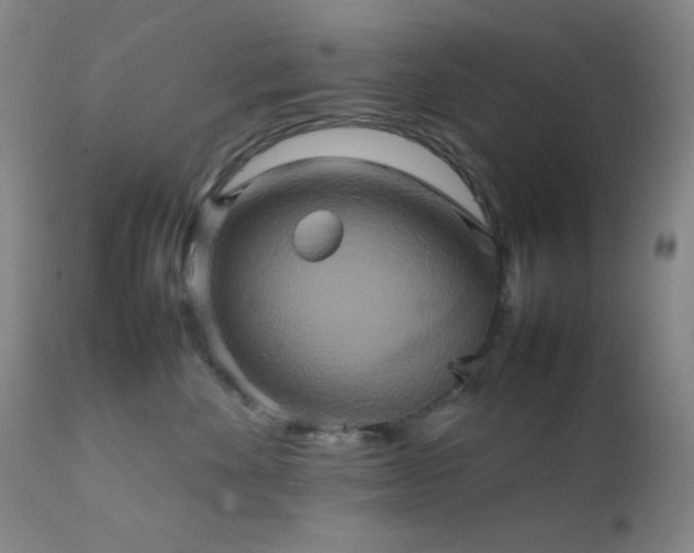 X0000111900524200907271201