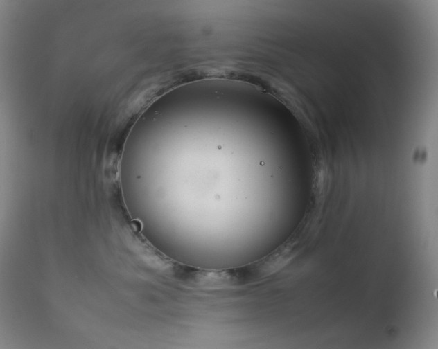 X0000111900525200907271201