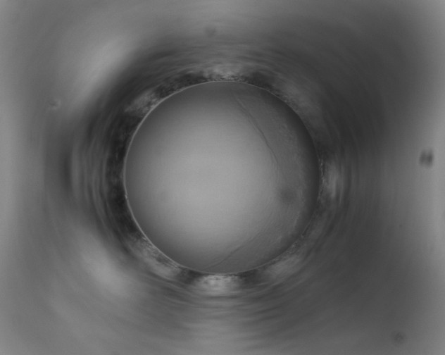 X0000111900526200907271201