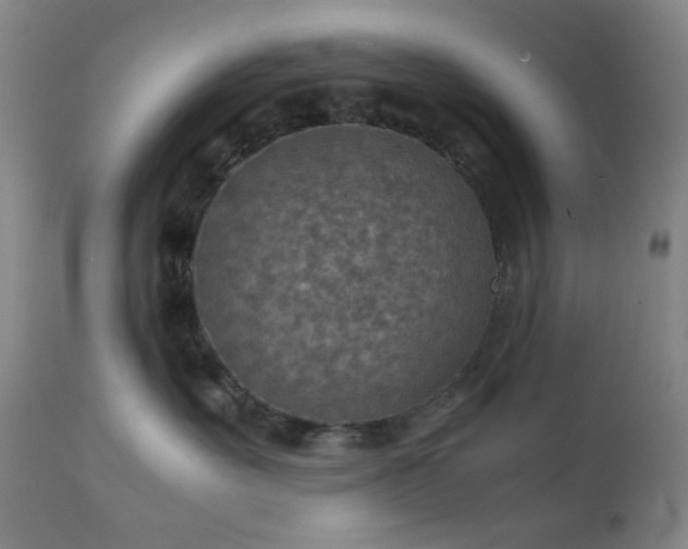 X0000111900527200907271201