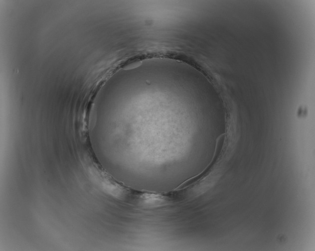 X0000111900528200907271201