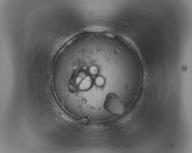 X0000111900529200907271200