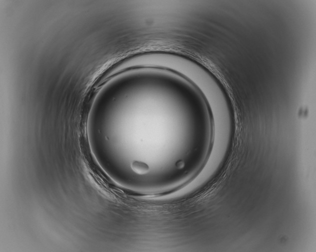 X0000111900530200907271200