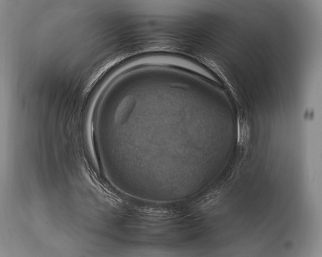 X0000111900531200907271200