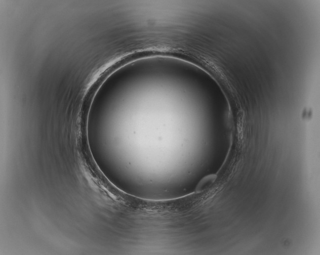 X0000111900532200907271200