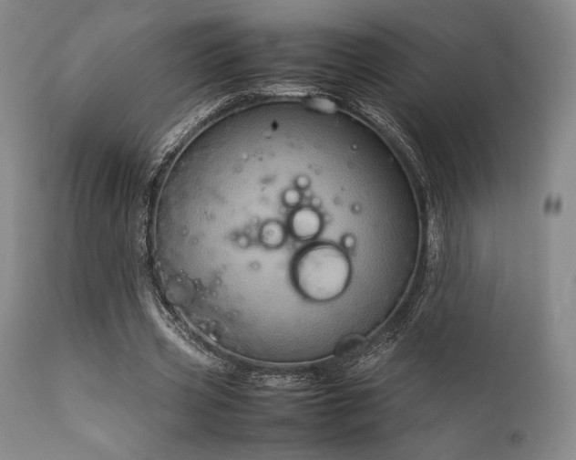 X0000111900533200907271200