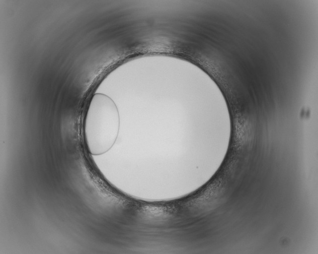 X0000111900534200907271200