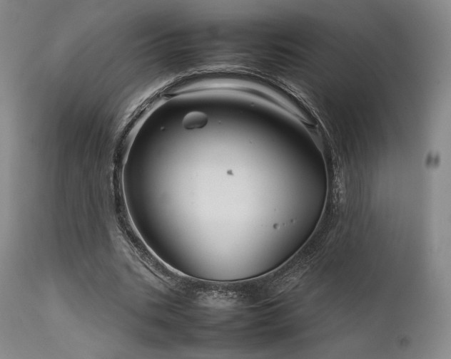 X0000111900535200907271200