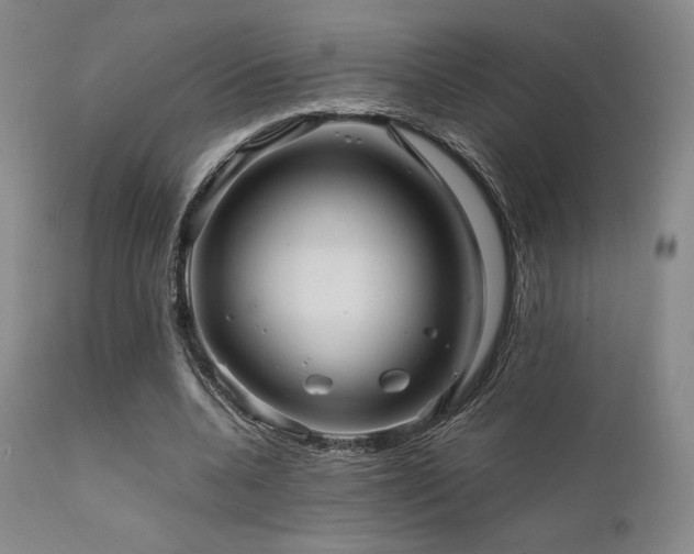 X0000111900536200907271200