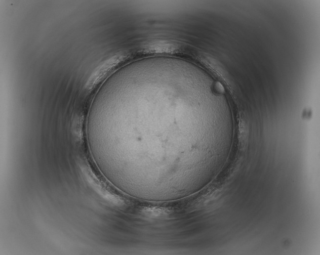 X0000111900537200907271200