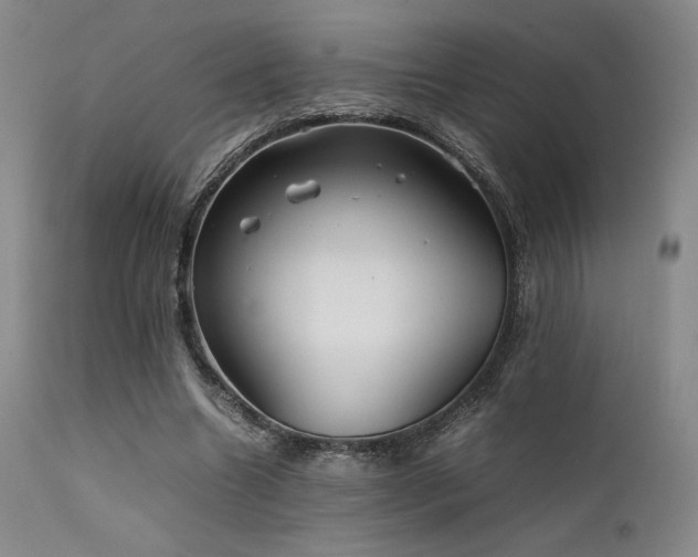 X0000111900538200907271200