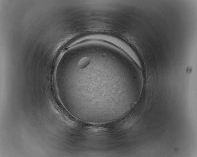 X0000111900539200907271200