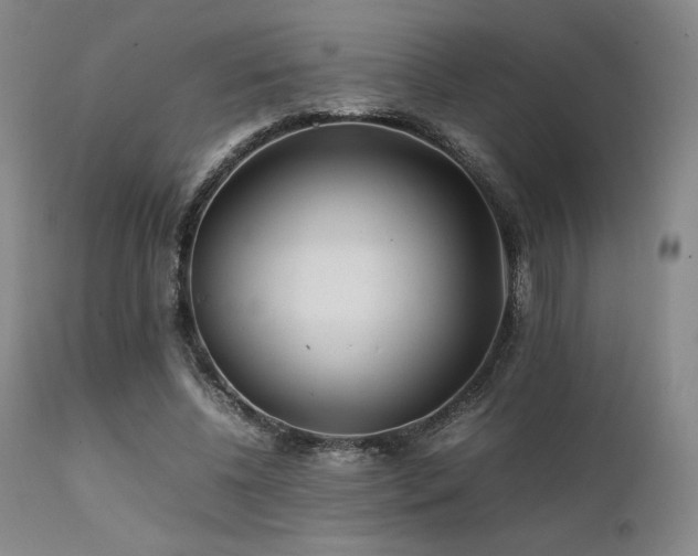 X0000111900540200907271200