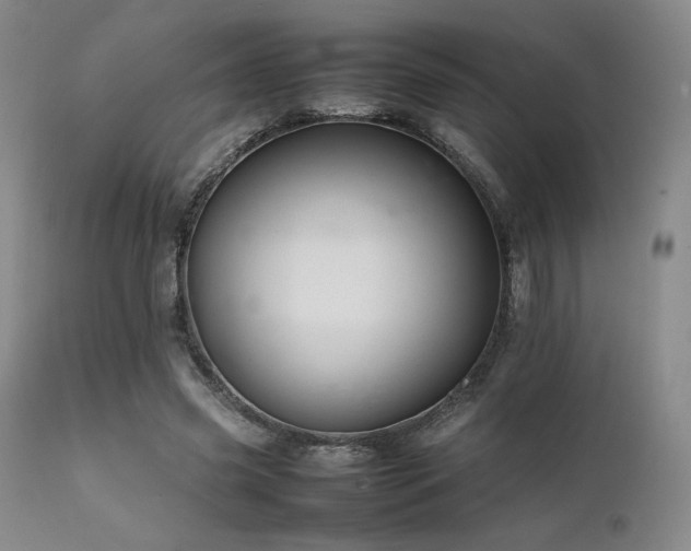 X0000111900541200907271200