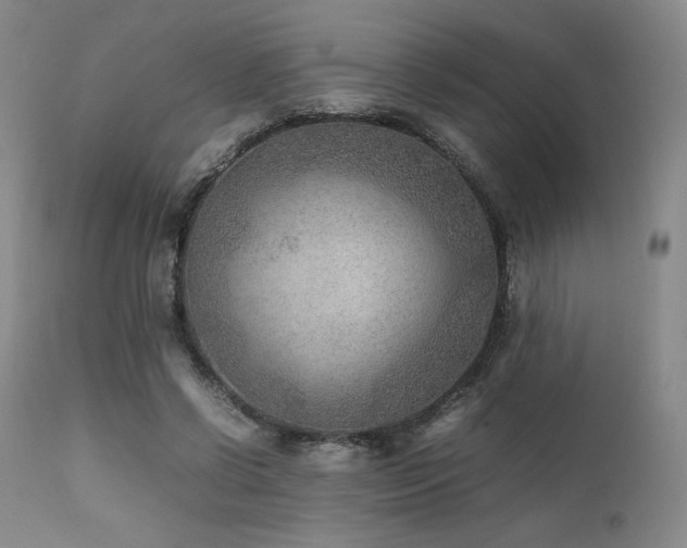 X0000111900542200907271200