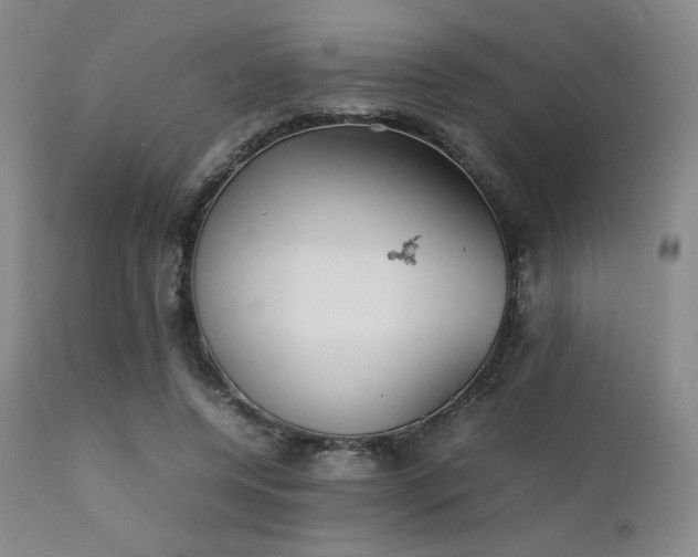 X0000111900544200907271200