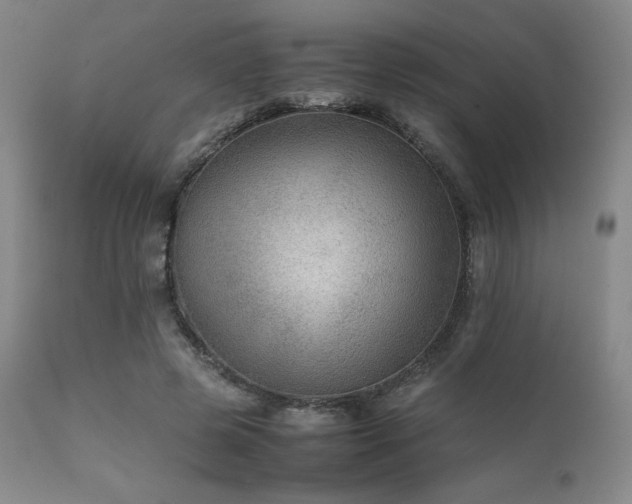 X0000111900545200907271200