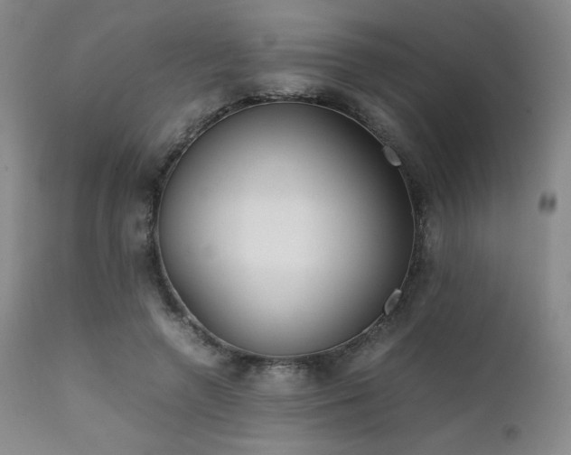 X0000111900546200907271200