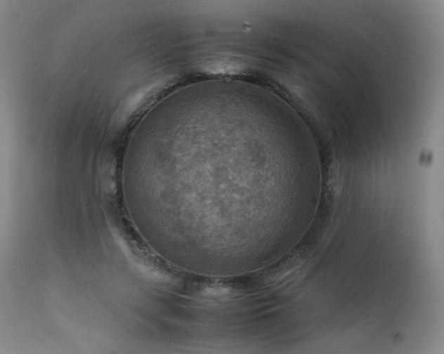 X0000111900547200907271200