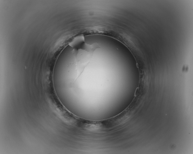 X0000111900548200907271200