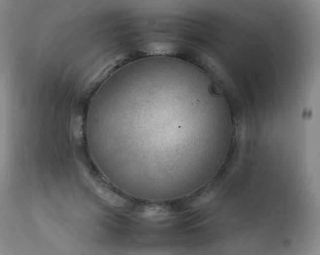 X0000111900549200907271200