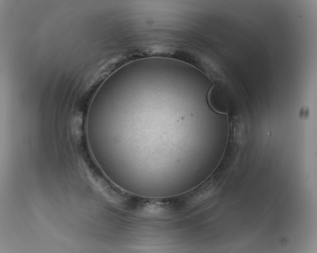 X0000111900550200907271200