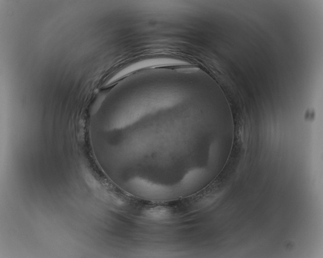 X0000111900551200907271200