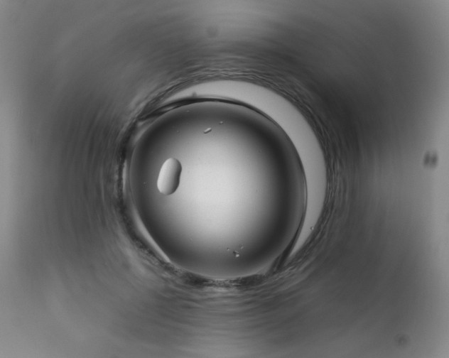 X0000111900552200907271200