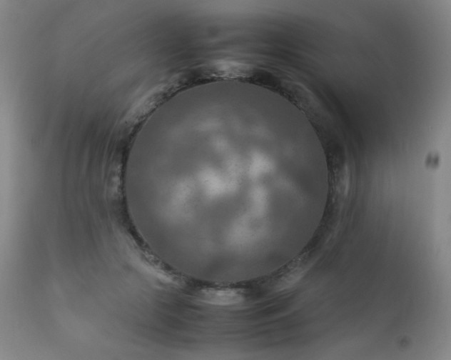 X0000111900553200907271200