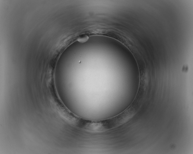 X0000111900554200907271200