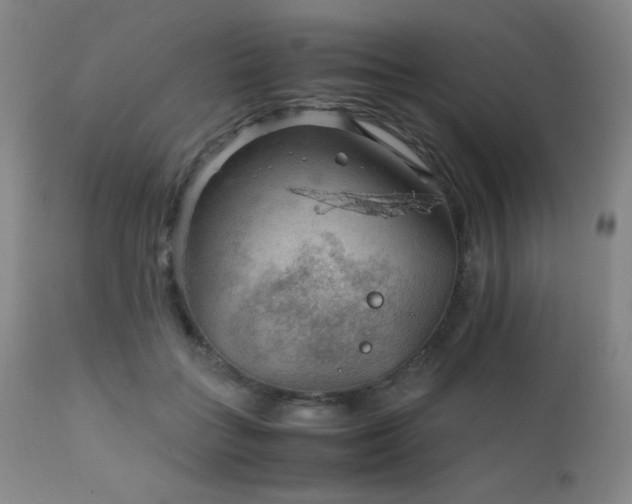 X0000111900555200907271200