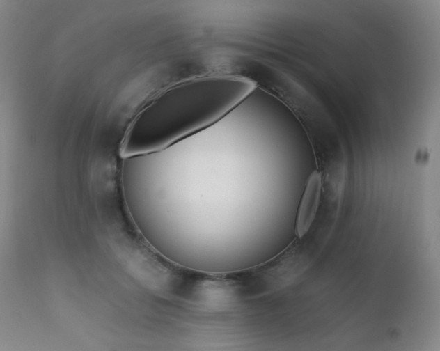 X0000111900556200907271200