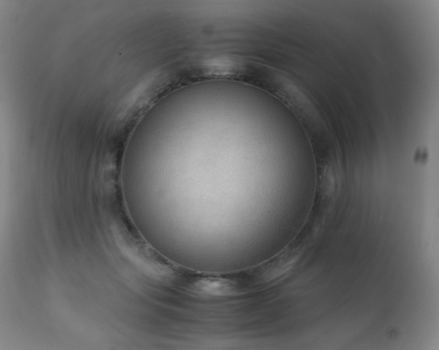 X0000111900557200907271200