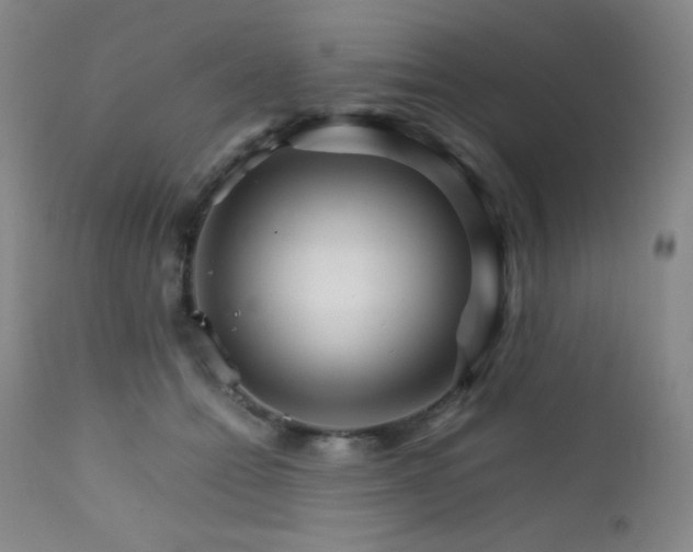 X0000111900558200907271200