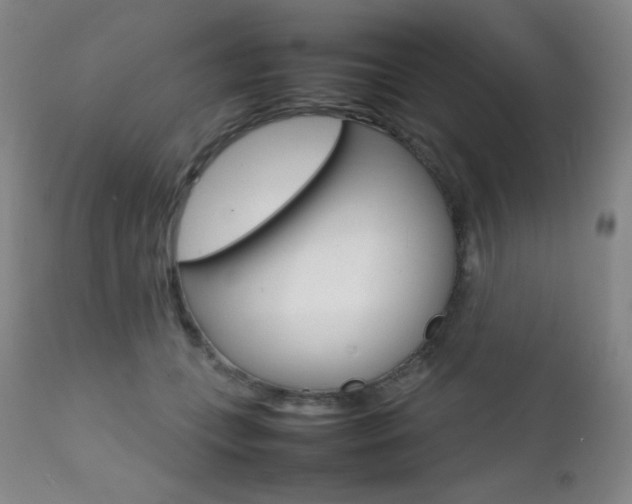 X0000111900559200907271200