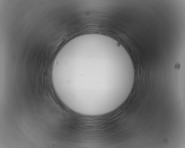 X0000111900560200907271200