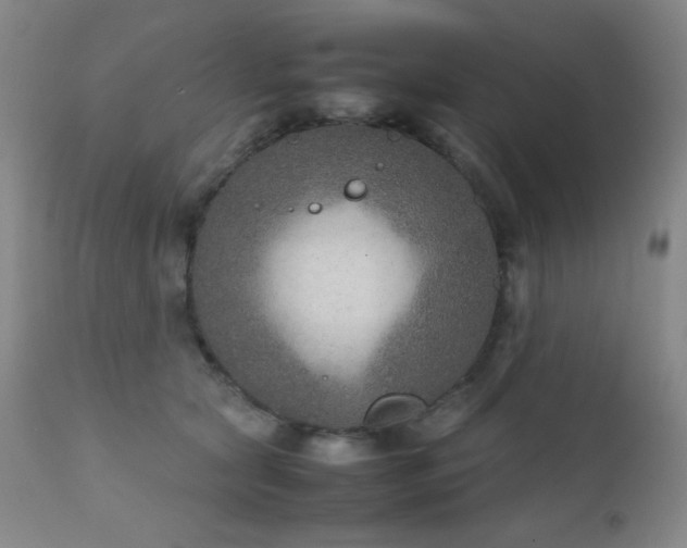 X0000111900561200907271200