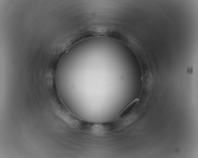 X0000111900562200907271200