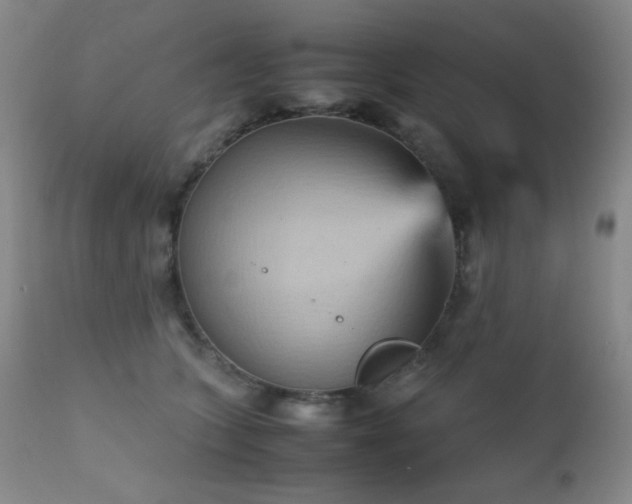 X0000111900563200907271200