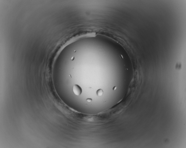 X0000111900564200907271200