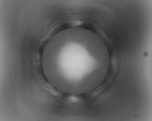 X0000111900565200907271200