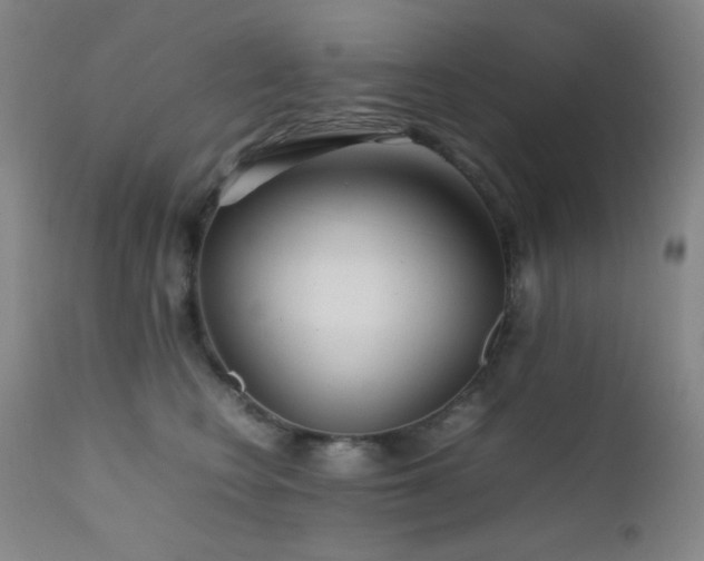 X0000111900566200907271200