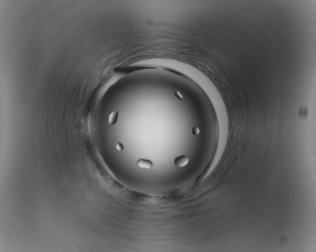 X0000111900568200907271200