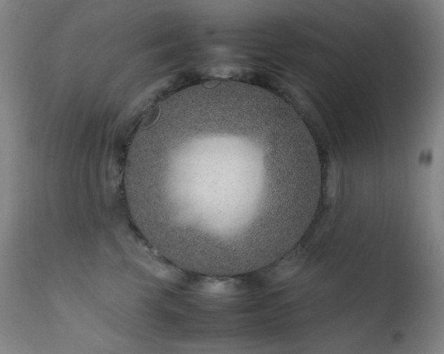 X0000111900569200907271200