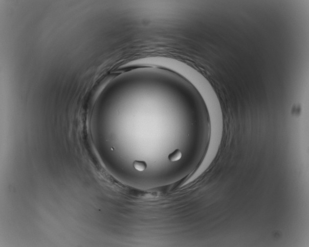 X0000111900570200907271200