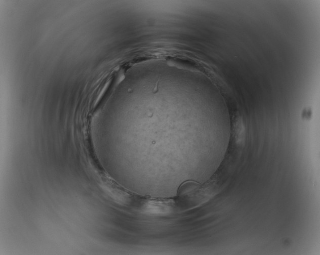 X0000111900571200907271200