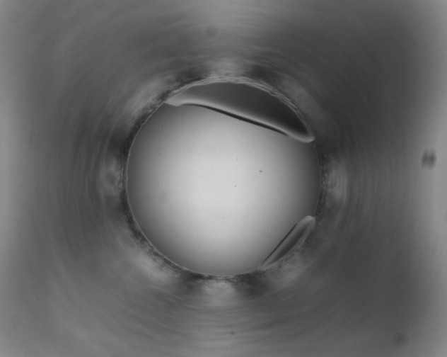 X0000111900572200907271200